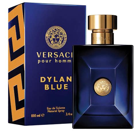 versace pour homme dylan blue 100ml price|dylan blue eau de toilette.